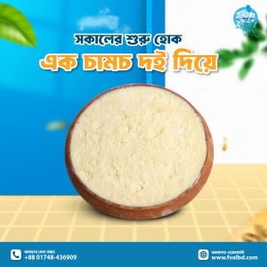চাঁপাইনবাবগঞ্জ ভোলাহাট এর দই