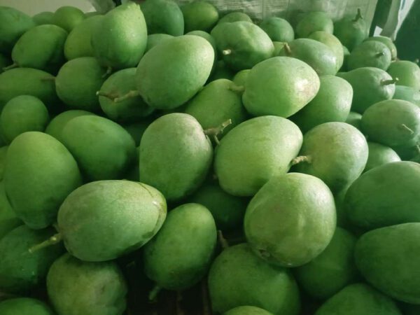 Sessional Fruits